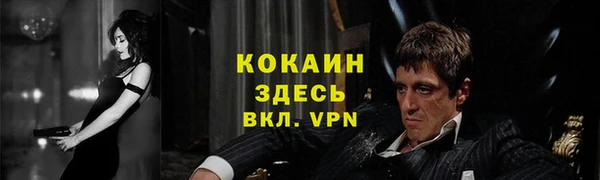 амф Магадан