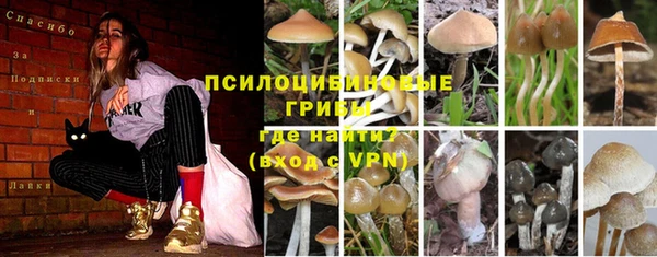 кристаллы Магас