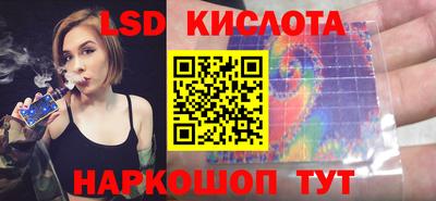молекула духа Донской