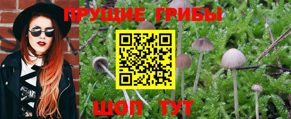 Галлюциногенные грибы Cubensis  Красноярск  Галлюциногенные грибы ЛСД 