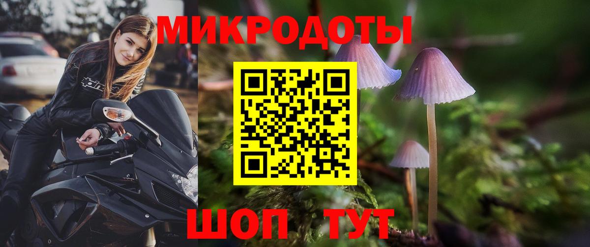 купить наркоту  Вход с VPN  Галлюциногенные грибы Cubensis  Красноярск  Галлюциногенные грибы MAGIC MUSHROOMS 